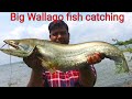 Wallago Attu Fishing | Hyderabad Fishing 2021 | Hook Fishing Video