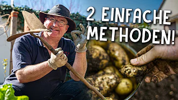 Kann man im März schon Kartoffeln Pflanzen?