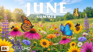 Summertime Splendor 4K | Vibrant Summer Flowers & Fluttering Butterflies 🌸 A Peaceful Nature Escape screenshot 3