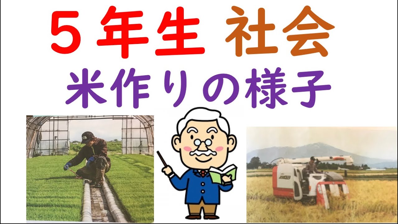 小５社会 米作りのさかんな地域 Youtube