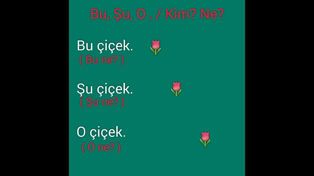 Омузиши забони туркӣ. Дарси 3 - YouTube