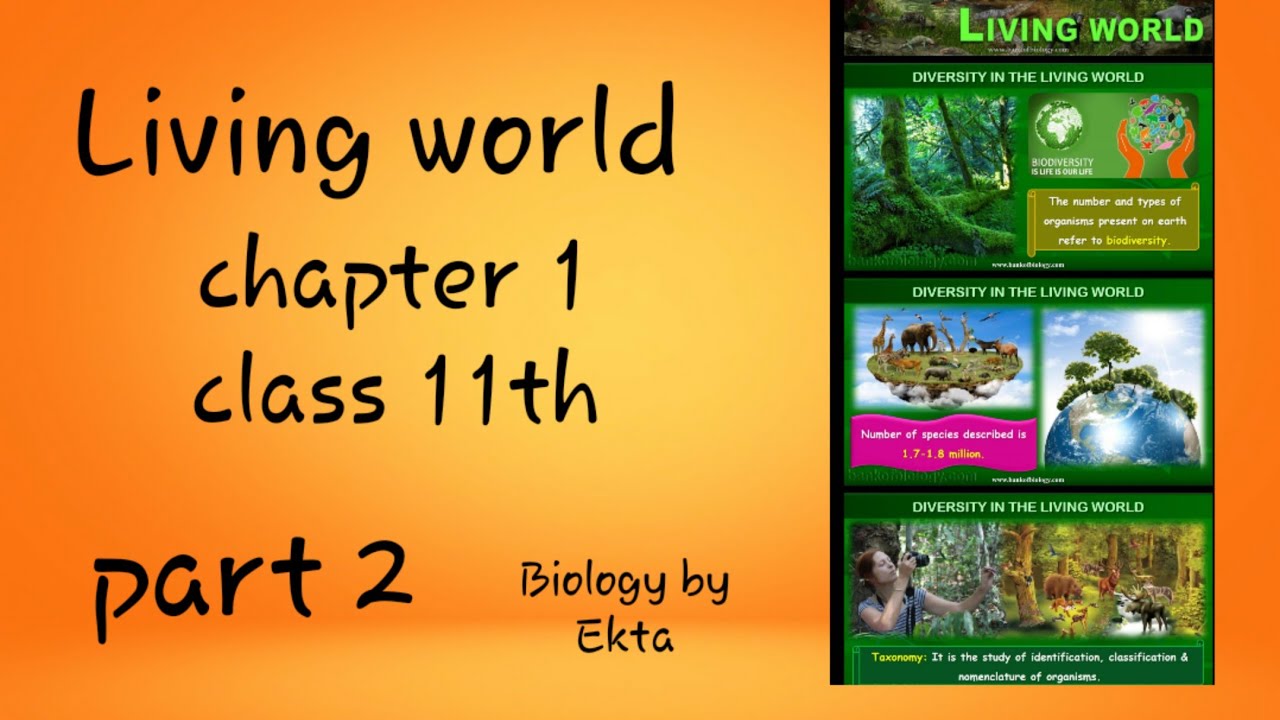 Living world ll chapter 1 ll class 11th lltopic Binomial nomenclature ³ ...
