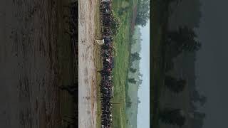 KEIRANG🆚 BLUP 