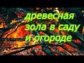 древесная зола в саду и огороде