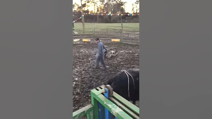Ryan Blackmon's Bull Ride