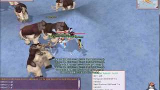 flyff blade lvl 106 kill mammoth in azria