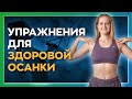 Упражнения от сутулости, сколиоза. Укрепление Мышц Спины. Шаги к здоровью. Сезон 3 .Серия 6.