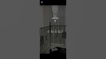 سورة الاخلاص الشيخ ماهر المعيقلي #المصحف #اسلام