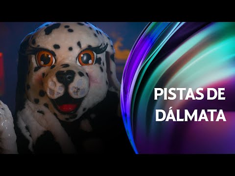 🎭🐶 ¿Dálmata es muy olvidadiza, eso te da alguna pista? |  #QuiénEsLaMáscara