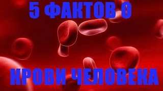 5 ФАКТОВ О КРОВИ ЧЕЛОВЕК.