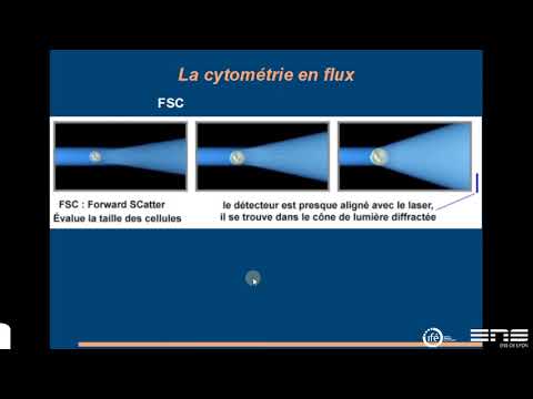 Vidéo: Différence Entre La Cytométrie En Flux Et FACS