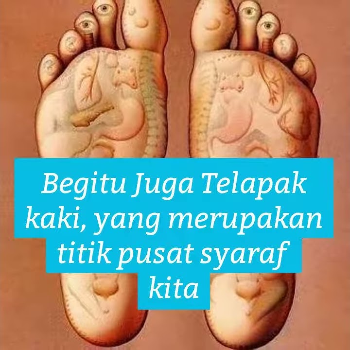 Cara Pemakaian Minyak Kutus Kutus. | Agen Kutus kutus Semarang WA 085641236811