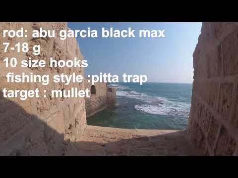 דייג 2019 ארס + בורי + דג פוגו בזרזור ultralight fishing saltwater for  multispecies