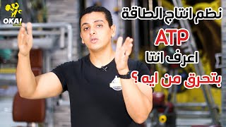 ATP | نظم انتاج الطاقة | أعرف انتا بتحرق من ايه ؟