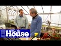 How to Propagate Plants from Cuttings | This Old House