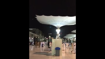 محمد خليل القارئ | ما تيسر من سورة النساء | تسجيل من ساحة المسجد النبوي الشريف