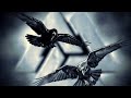 Huginn ok Muninn - Dark Viking Music