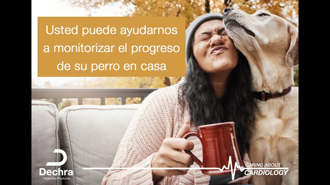 Cómo registrar la frecuencia respiratoria de mi perro