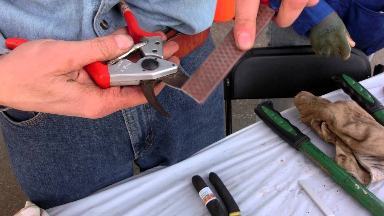 A Master Gardner Explains How To Sharpen Pruning Shears And Other