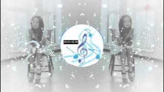 Wei Wan Cheng De Ai 未完成的爱 - Long Mei Zi 龙梅子