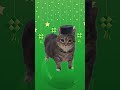 Oia Balik Kampung Song Uiia Oia Cat Raya Fasting Puasa Ramadan Hariraya Ramadhan2025 