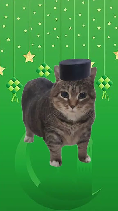 Oia Balik Kampung song #uiia #oia #cat #raya #fasting #puasa #Ramadan #hariraya #ramadhan2025