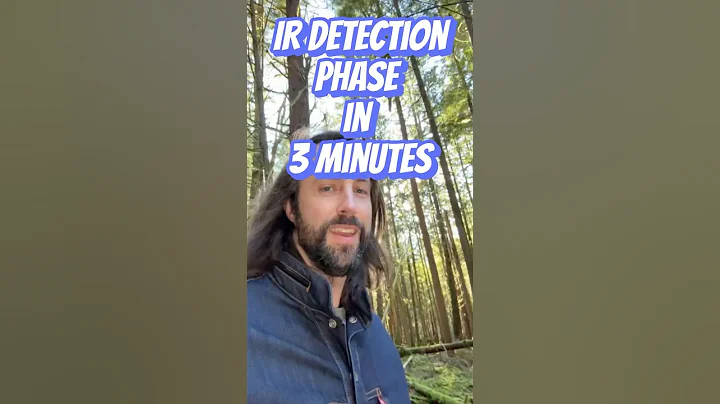 Incident Response: Detection Phase in 3 Minutes