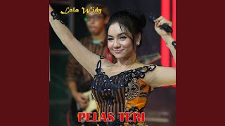 Pelas Teri