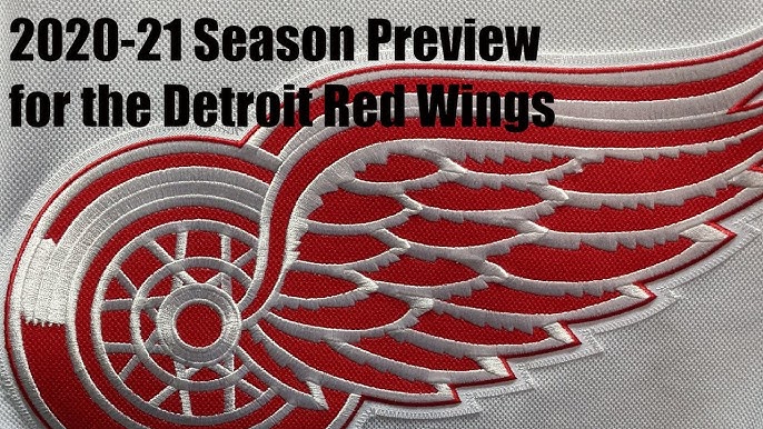 Detroit Red Wings 2021 – 2022 Season Preview - Vendetta Sports Media