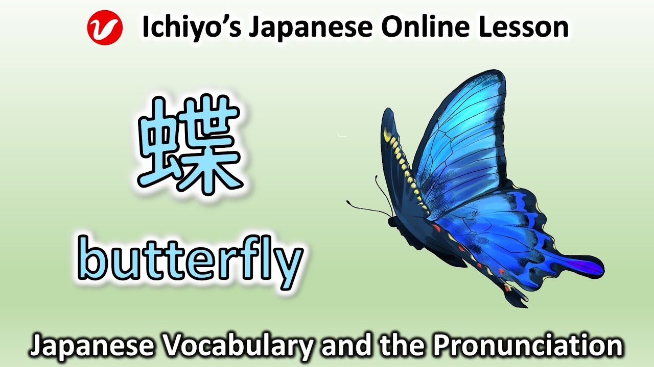 蝶 (ちょう、チョウ、chō) | butterfly | Japanese Vocabulary and the