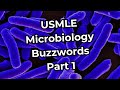 Usmle step 1 microbiology buzzwords part 1