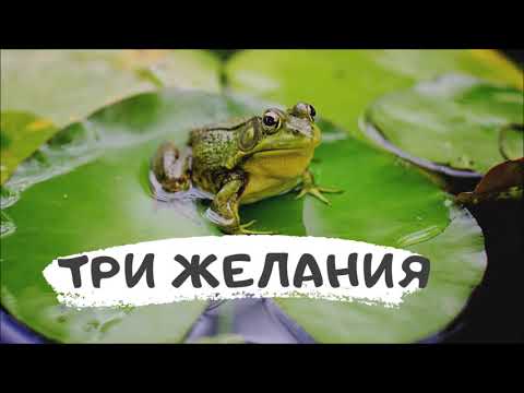 Три желание слушать песню лягушки вика