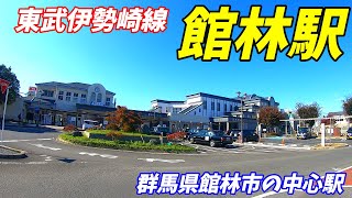 【群馬県館林市】東武線、館林駅周辺を散策！(Japan Walking around Tatebayashi Station)