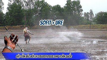 Xịt diệt mầm bằng thuốc sofit + urê, giải pháp tiết kiệm phân bón cho đầu vụ