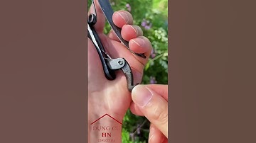 Kéo cắt tỉa cành bonsai #dungcugiadinh #dungcutienich #thinhhanh #bonsai #dungcuhn