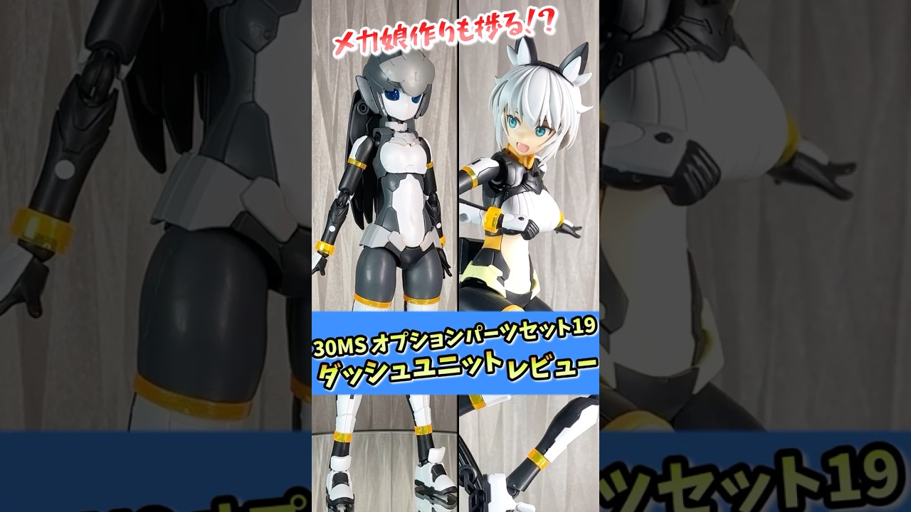 30MS] Option Parts Set 19 Dash Unit Review [Bishojo Plastic Model