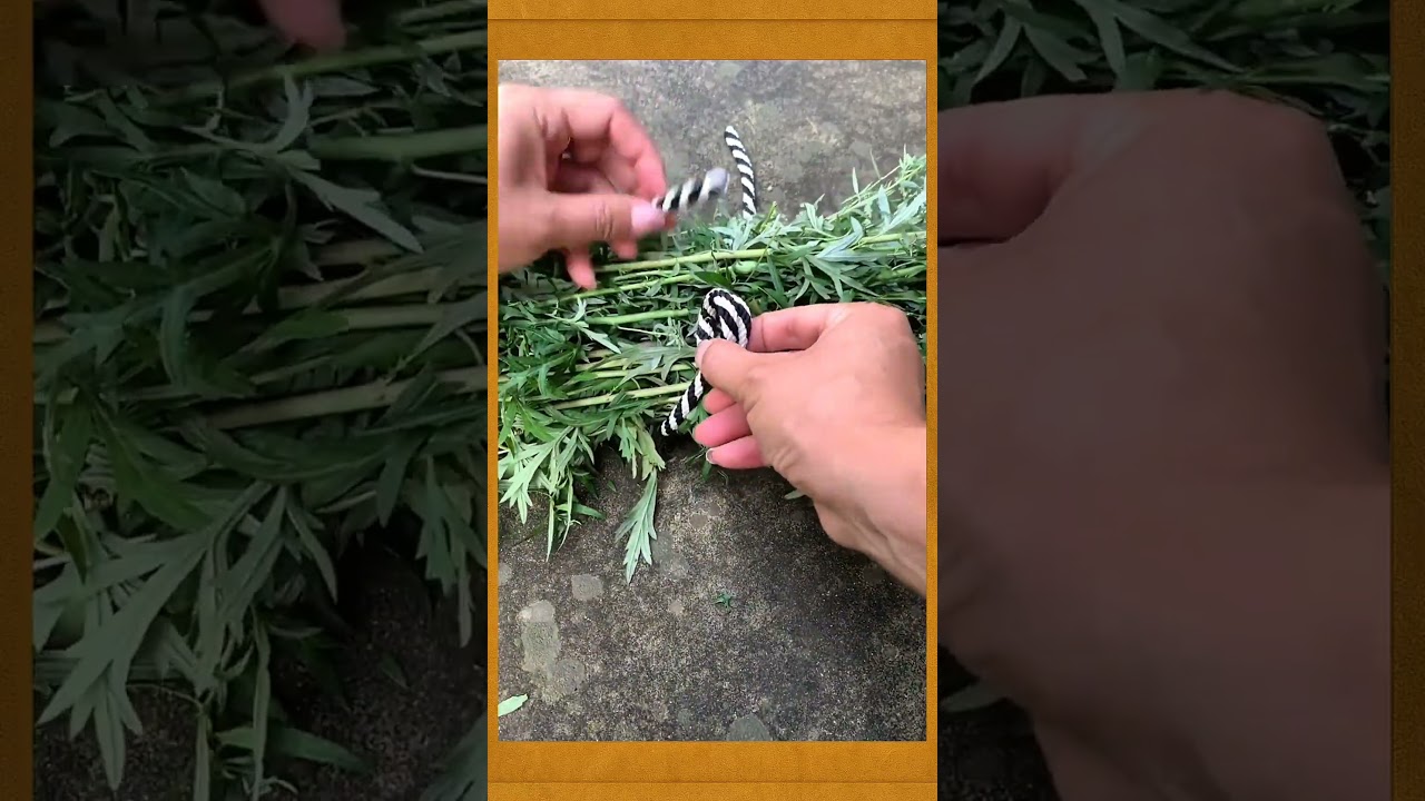 Traditional Knot for Bundling Vegetables