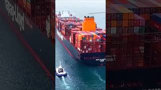 Container Ship 🚢⚓🌎🇺🇸🌊🔥 #shorts #onboard #crew #transportation #containership