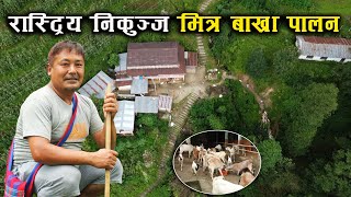 राष्ट्रिय निकुञ्ज भित्रको गाउँमा बाख्रा पालन,चितुवासंग घम्साघम्सी ! - Goat rearing/farming in Nepal