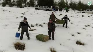 Burdurda Karlı Dağlara Yaban Hayvanları Için Yem Bırakıldı