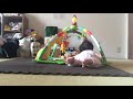 Relaxing movie 6months old baby girl 6カ月 寝返り