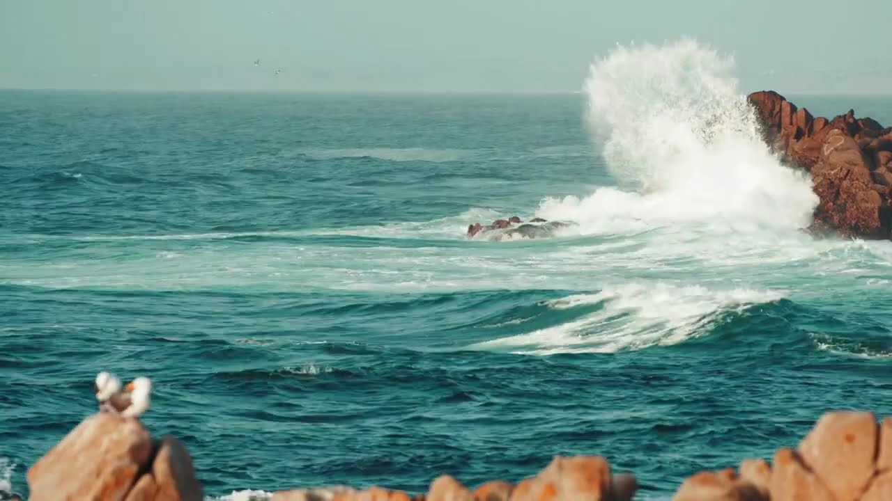 who am "i" beyond my ego?