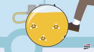 Why Should I have my Brake Fluid Serviced?