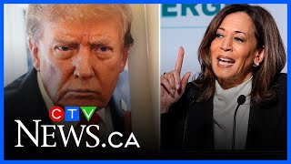 Trump revokes U.S. secret service protection of Kamala Harris Net Worth