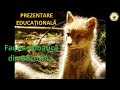 Prezentare educațională: Fauna sălbatică din Bucovina /Educational presentation:Wildlife of Bucovina