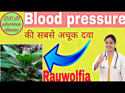Video: Rauwolfia - Khasiat Bermanfaat Dan Penggunaan Ular Rauwolfia, Alkaloid Rauwolfia. Ular Rauwolfia