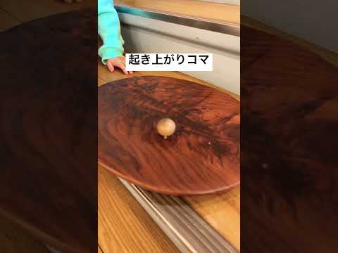 起き上がりコマ！