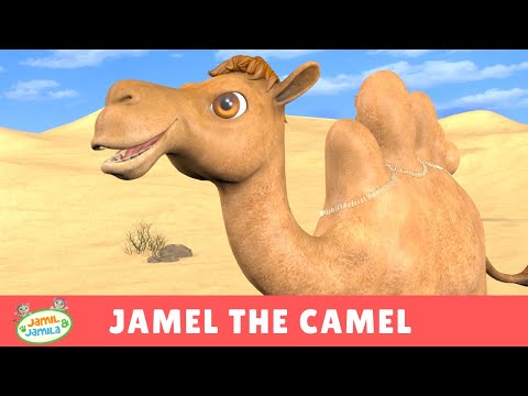 Jamel the Camel - Jamil and Jamila Songs for Kids