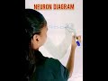 👍99% Students Ye Diagram Galat Banate Hain 😱 Neuron Diagram Trick 🧠 #shorts