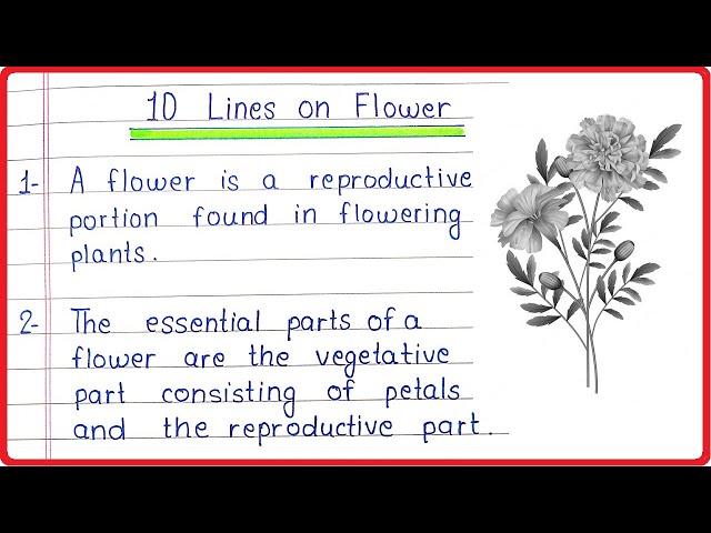 10 Lines On Flower In English